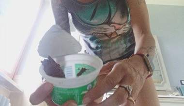 chocolate and yogurt for your breakfast ;)