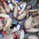 2 Part Wild and Extreme AO Outdoor Gangbang Summer Party