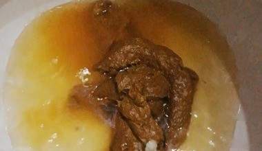 SCHEIßE SPRENGT das WOHNMOBIL KLO