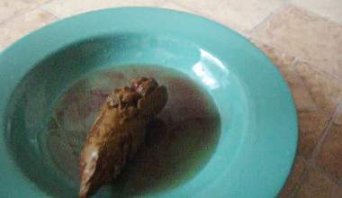 scheißen und pissen in einem Teller