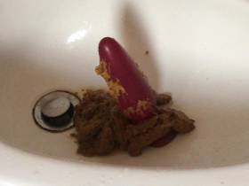 Dildo and shit in my big ass