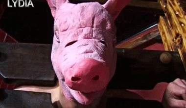 DIE DUMME SAU -der trichter-