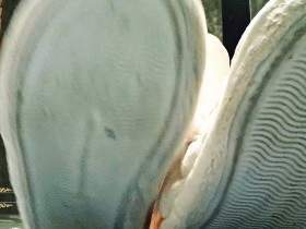 Du verehrst meine Hausschuhe