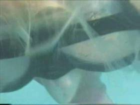 Vorschaubild vom Privatporno mit dem Titel "UNTERWASSER DOGGY FUCK & BLOWJOB" von Xtrem-Babe