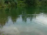 Im Teich