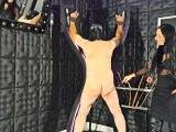 Whips for the Slavesass