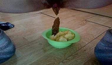 Scheiße zwischen Kartoffelchips