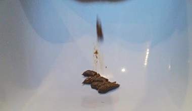 Cevapcici geschissen IN DIE BADEWANNE