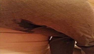 Büro Grau Hose kacken
