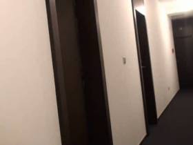 Screw at first sight! (Hotel guest fucked in elevator)