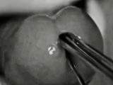 GERMAN DOMINANCE 0165 -Feelings-