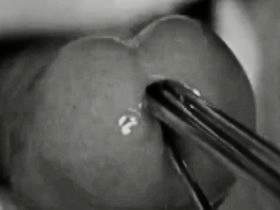 GERMAN DOMINANCE 0165 -Feelings-