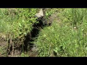 If the torrent rushes ...