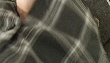 Besamung im Hotelgang