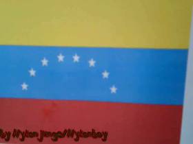 Flaggen Spiel: Venezuela ** USER WUNSCH **