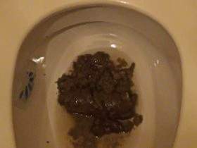 Vorschaubild vom Privatporno mit dem Titel "Ins Klo geschissen" von Sue-Allen