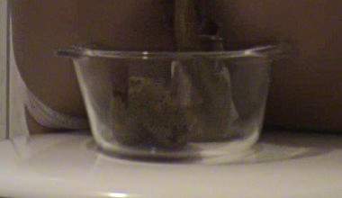 Mein Scheisseschuesselchen.