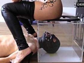 Vorschaubild vom Privatporno mit dem Titel "Klo-Maul! Du bekommst den Abfall!" von CherieNoir