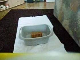 Fully user request pee cake