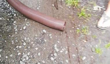 Fäkalientank Entleeren Scheisse im Strahl