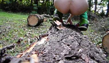 Neulich im Wald...