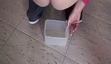 Scheisse mit Periodensosse