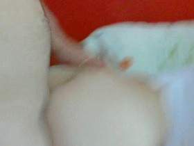 Vorschaubild vom Privatporno mit dem Titel "Geiler Arschfick" von kolikojesati