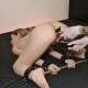 Spreader bar, toys & anal filling