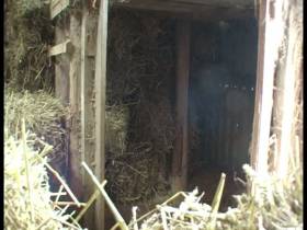 Picnic in the hay