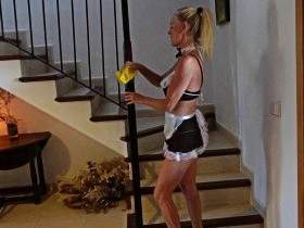 The maid fucked bareback!