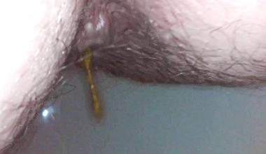 Poo in extremer Nahaufnahme