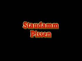 Staudamm Pissen