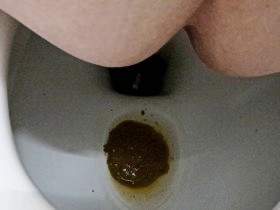 shit shit in the toilet