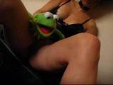 nici and kermit