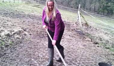 Stallarbeit