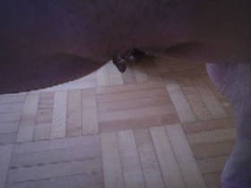 creamy horny heap with ns