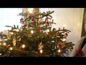 Christmas scented tree - dirty panties