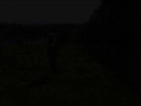 Penetration and pissing outdoors