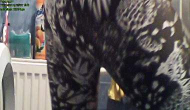 Spandex Strumpfhose Last