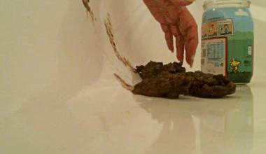 Mit der Hand Kacke einpacken zum Versand