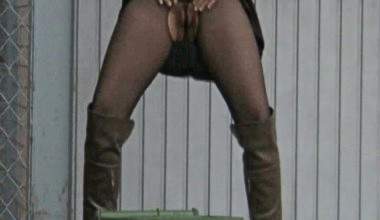 Pissvisionen