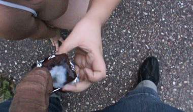 Spermabrownie