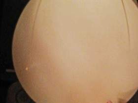 Motorhome toilet !! Pile OF SHIT CANNOT BE REMOVED !!! TOO LARGE