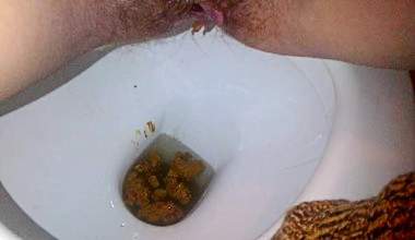 Scheiße in der Toilette