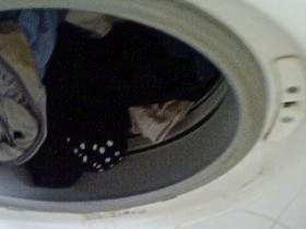 Pissing in the washing machine