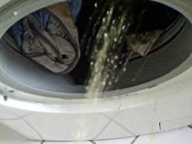 In Waschmaschine gepisst