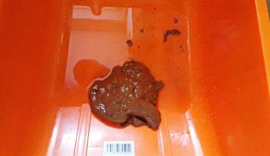 Scheiße im Spielzeugauto