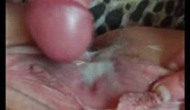 Sperma Sau 31