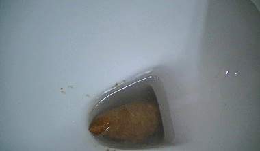 Krasse Kackwurst 6cm dick und 20 cm lang geschissen