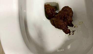 Bratty Orgasmus nach Poop